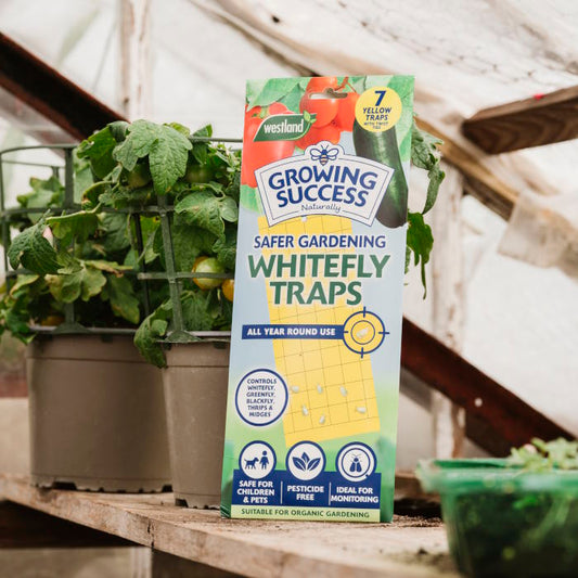 Gro Sure Whitefly Sticky Traps 7 Pack | Party Save Smile