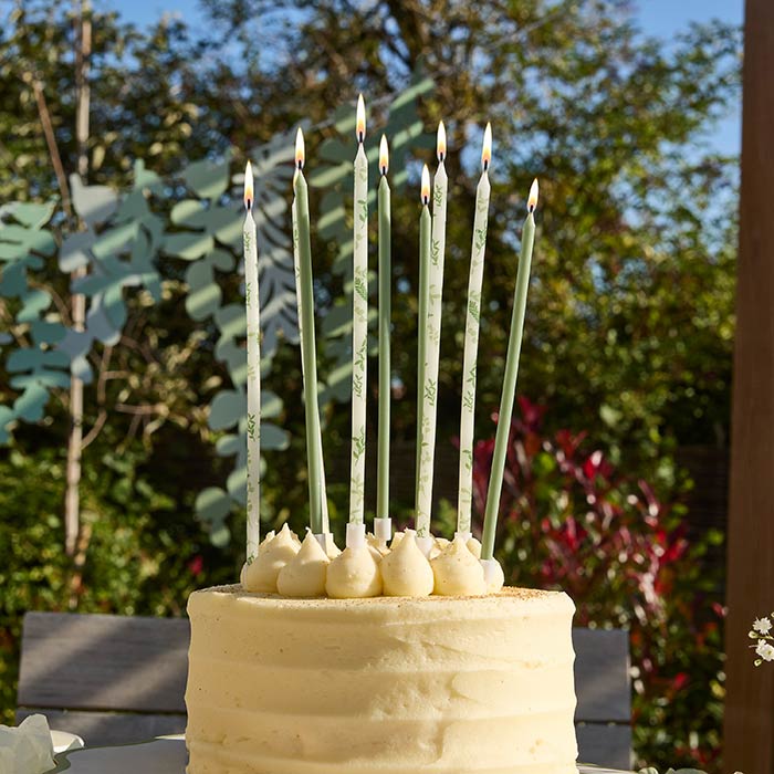Botanical Tall Cake Candles - Pack of 12 | Party Save Smile