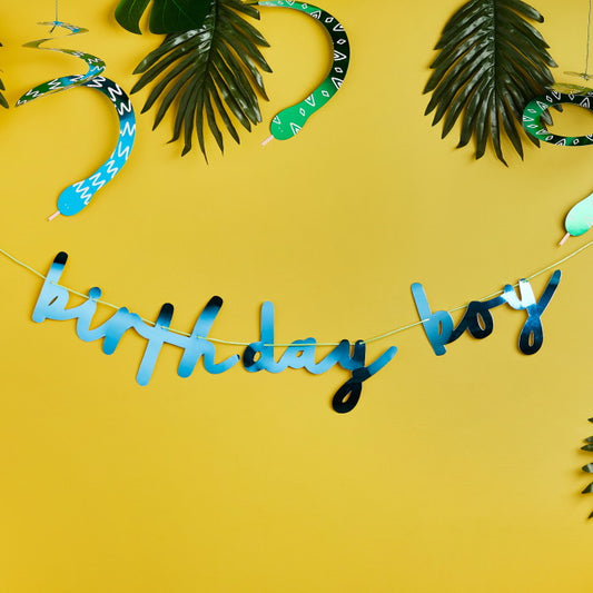 Blue Birthday Boy Banner 2 metres | Party Save Smile