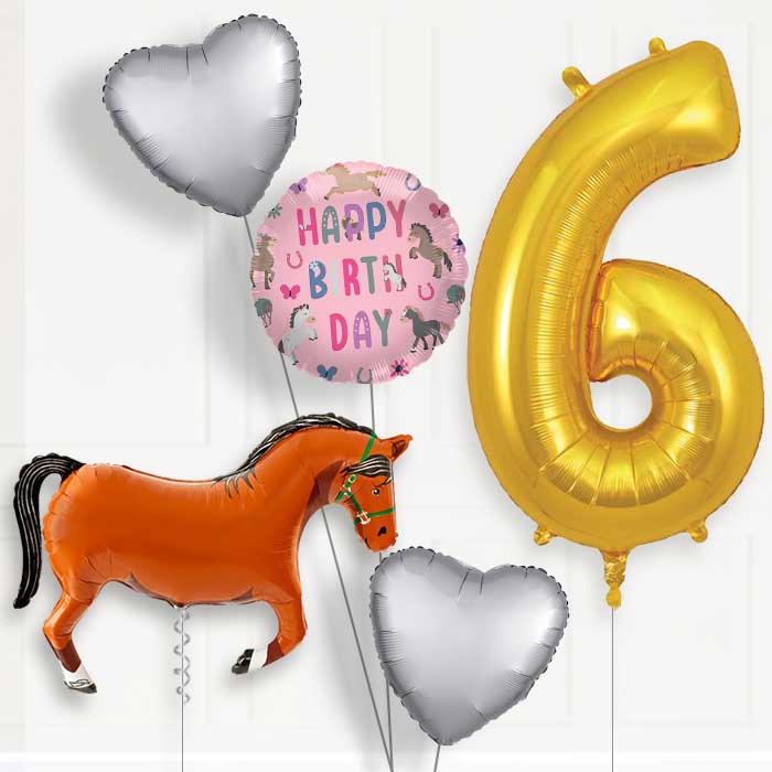 Brown Horse Birthday Balloon Package Choose Age | 6th Birthday Balloon Package | Party Save Smile