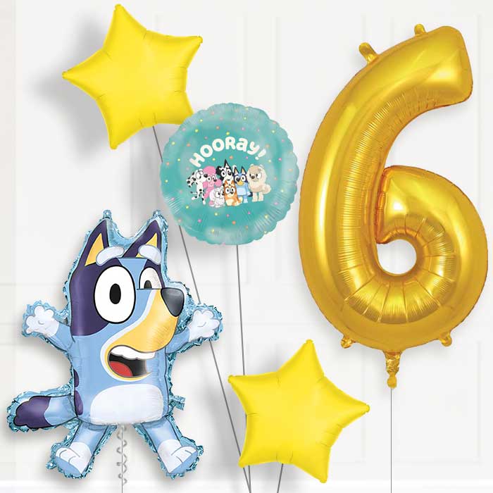 Bluey 6th Birthday Balloon Package | Party Save Smile
