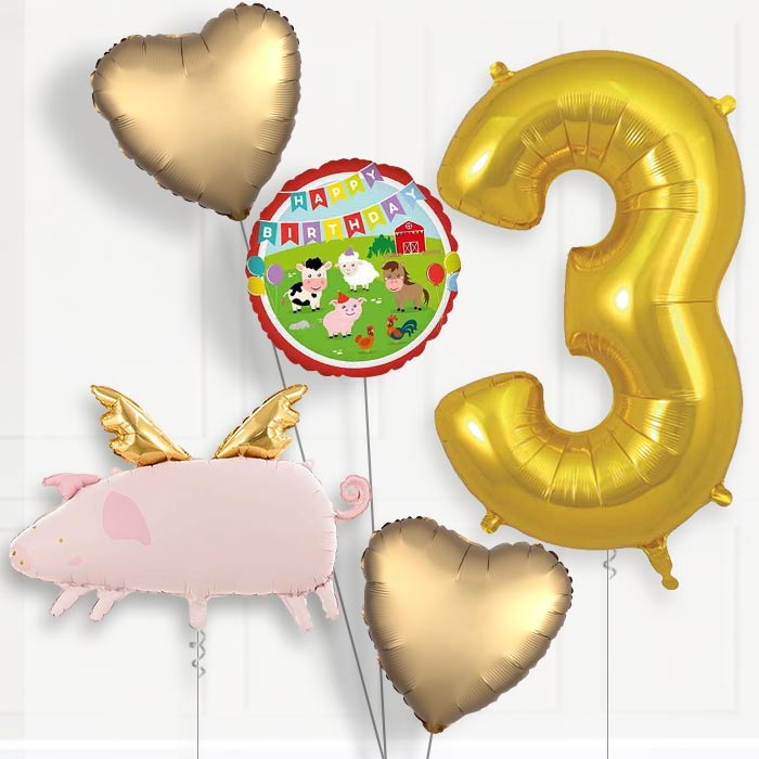 Flying Pig Birthday Balloon Package Choose Age-3rd Birthday Balloon Package | Party Save Smile