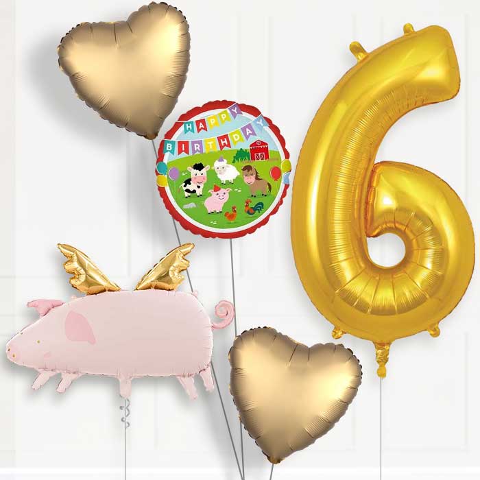 Flying Pig 6th Birthday Balloon Package | Party Save Smile