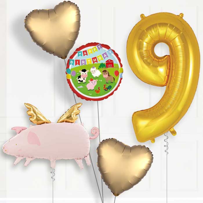 Flying Pig Birthday Balloon Package Choose Age-9th Birthday Balloon Package | Party Save Smile