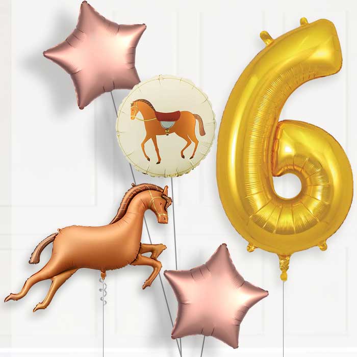 Bronze Brown Horse 6th Birthday Balloon Package | Party Save Smile