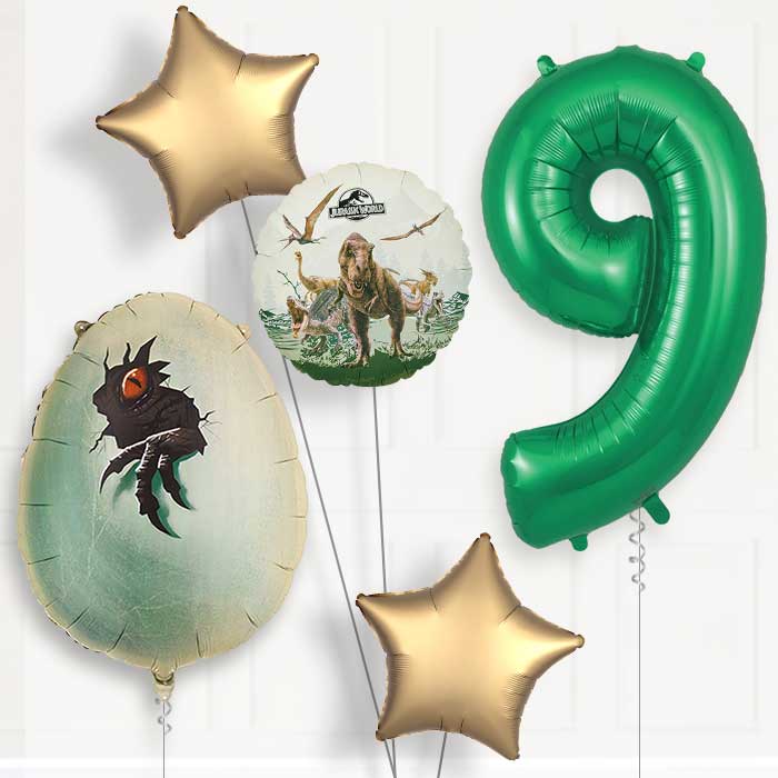 Jurassic World Dinosaur Egg 9th Birthday Balloon Package | Party Save Smile