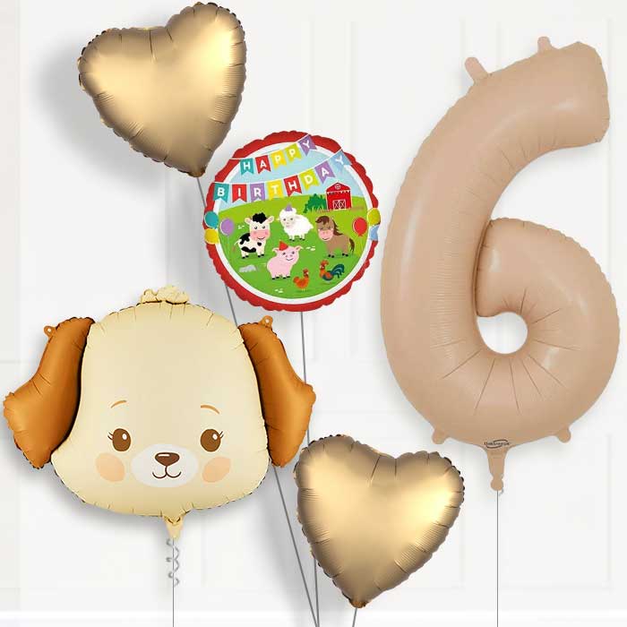 Cream Dog Birthday Balloon Package Choose Age-6th Birthday Balloon Package | Party Save Smile