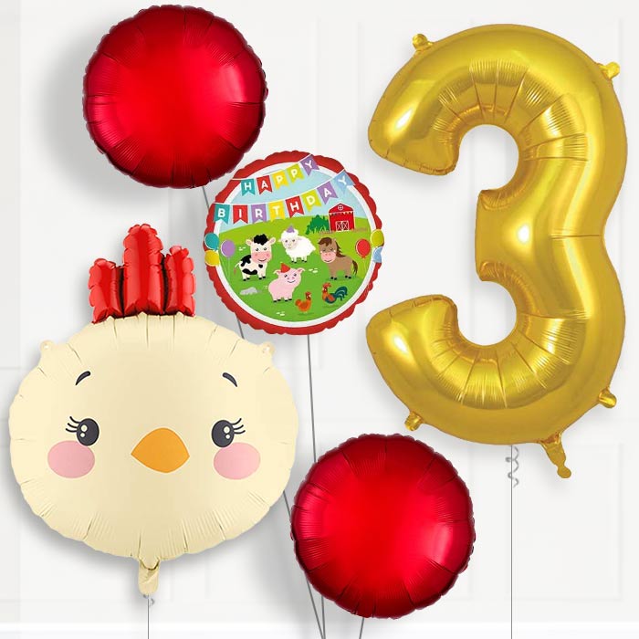 Chicken Head 3rd Birthday Balloon Package | Party Save Smile