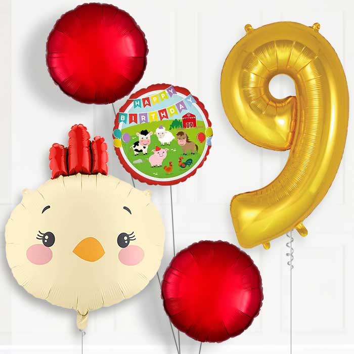 Chicken Head 9th Birthday Balloon Package | Party Save Smile
