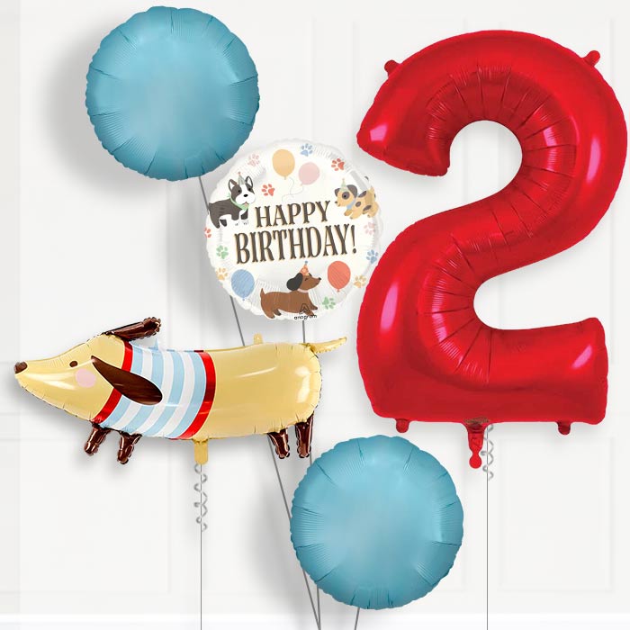 Dachshund Birthday Balloon Package Choose Age-2nd Birthday Balloon Package | Party Save Smile