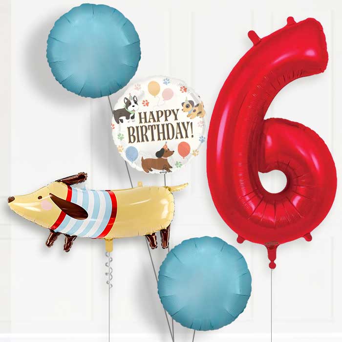 Dachshund Birthday Balloon Package Choose Age-6th Birthday Balloon Package | Party Save Smile