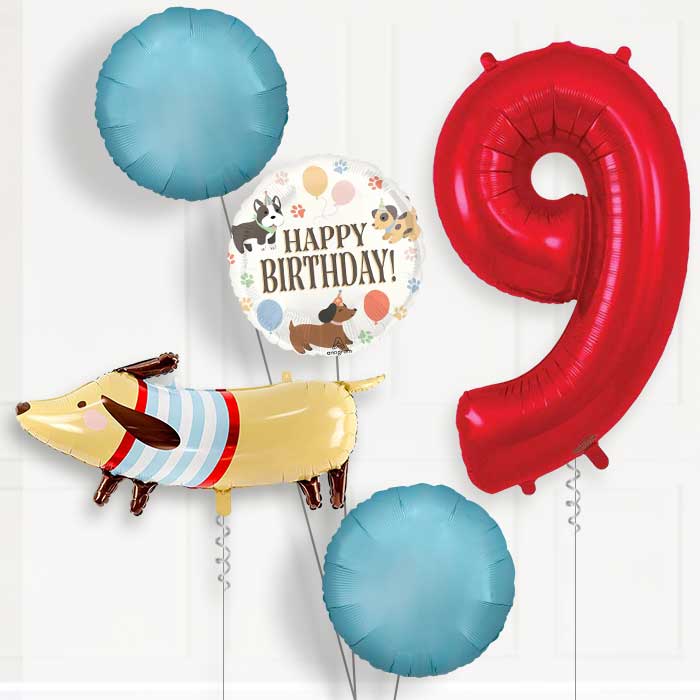 Dachshund 9th Birthday Balloon Package | Party Save Smile