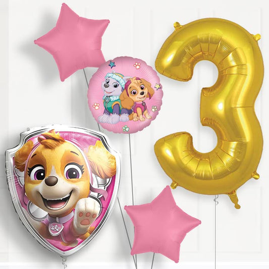 Skye Paw Patrol 3rd Birthday Balloon Package | Party Save Smile