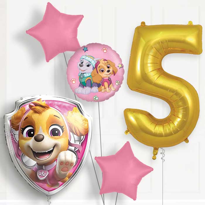 Skye Paw Patrol Birthday Balloon Package Choose Age