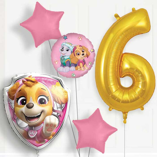 Skye Paw Patrol 6th Birthday Balloon Package | Party Save Smile