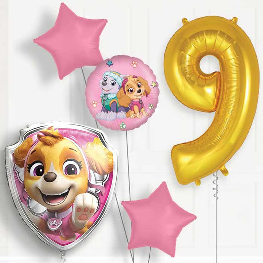Skye Paw Patrol 9th Birthday Balloon Package | Party Save Smile