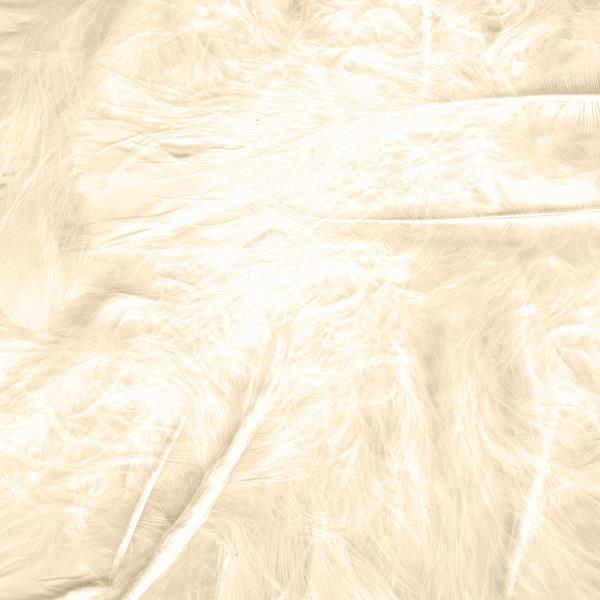 Ivory Feathers for Craft 8 Grams | Party Save Smile