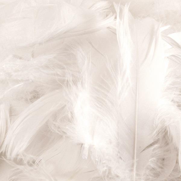 White Craft Feathers 50 grams | Party Save Smile