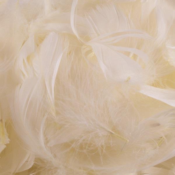 Ivory Craft Feathers 50 grams | Party Save Smile