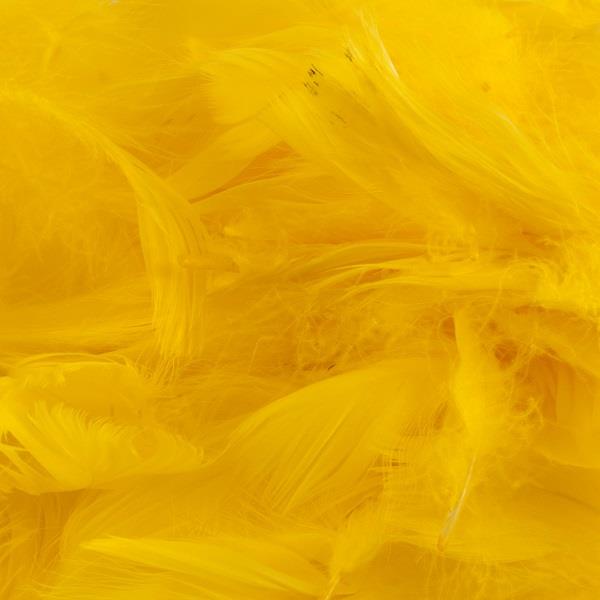 Yellow Craft Feathers 50 grams | Party Save Smile