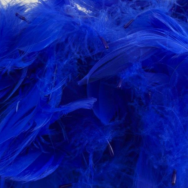 Royal Blue Craft Feathers 50 grams | Party Save Smile