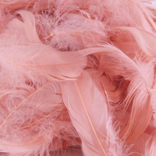 Rose Gold Craft Feathers 50 grams | Party Save Smile