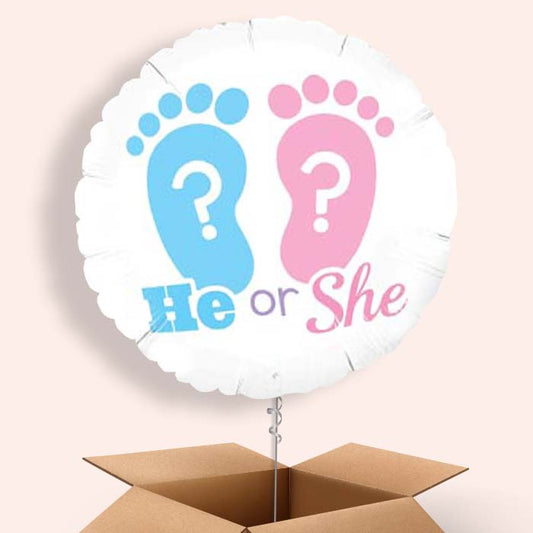 Balloon Gender Reveal in a Box (He or She)