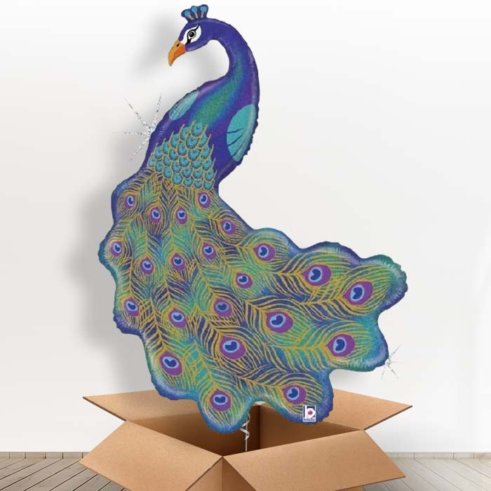 Giant Peacock Helium Balloon in a Box