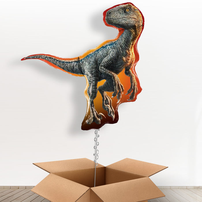 Raptor Jurassic World Birthday Balloon in a Box – Party Save Smile