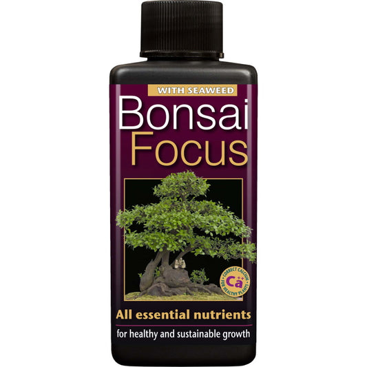 Bonsai Focus Feed 100 ml: Bonsai Plant Food