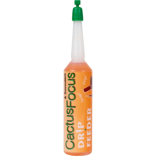 Cactus Focus Drip Feeder 38ml: Cactus Plant Food | Party Save Smile