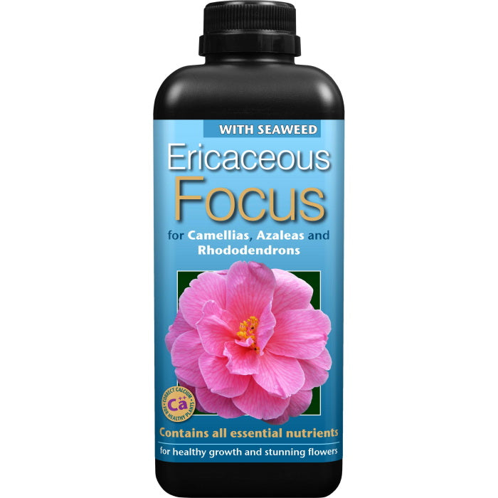 Ericaceous Focus Plant Food 1 Litre | Party Save Smile