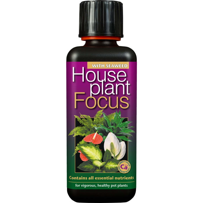 Houseplant Focus Indoor Plant Food 300 ml