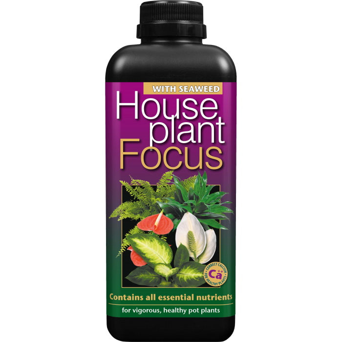 Houseplant Focus Pour and Grow 1 Litre | Party Save Smile