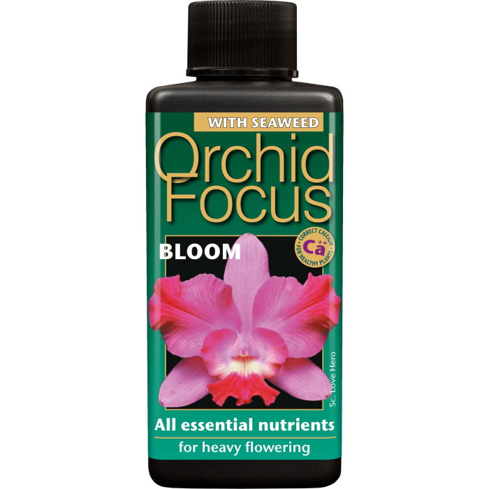 Orchid Focus Bloom 100 ml: Orchid Food to Support Flowering - Party Save Smile