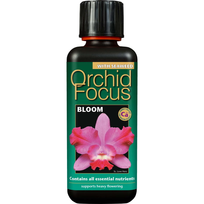 Orchid Focus Bloom 300 ml: Perfect Food for Orchid Flowers