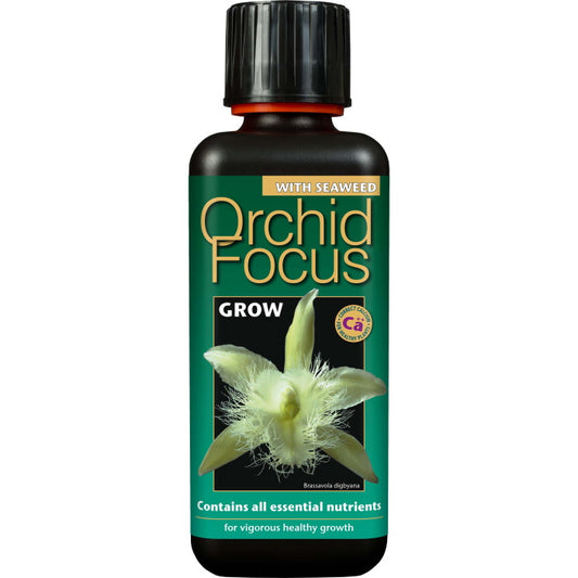Orchid Focus Grow 300 ml: Orchid Plant Food