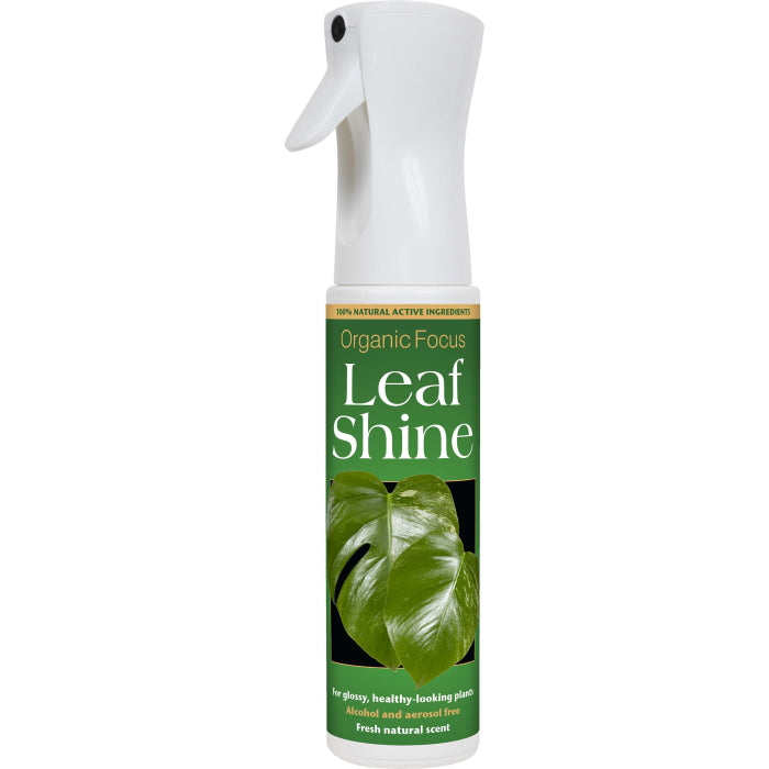 Leaf Shine Spray Organic Focus 400 ml | Party Save Smile