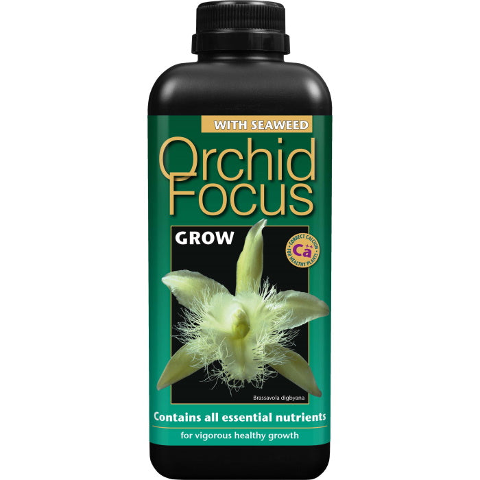 Orchid Focus Pour and Grow 1 Litre | Party Save Smile