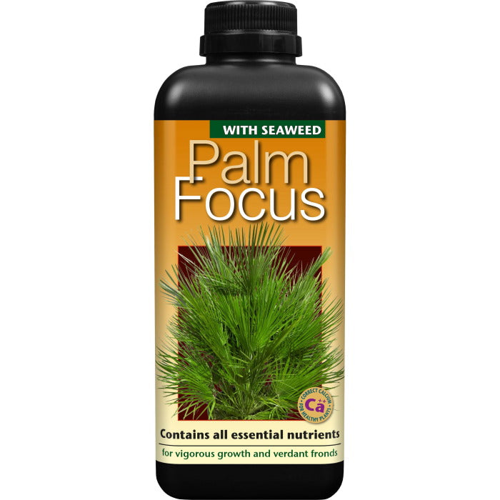 Palm Focus 1 Litre: Palm Plant Food | Party Save Smile