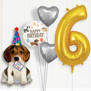 Puppy Dog 6th Birthday Helium Balloon Package Delivered