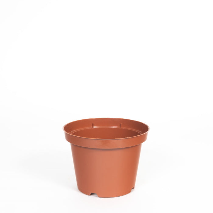 12cm Plastic House Plant Pot: Terracotta | Party Save Smile
