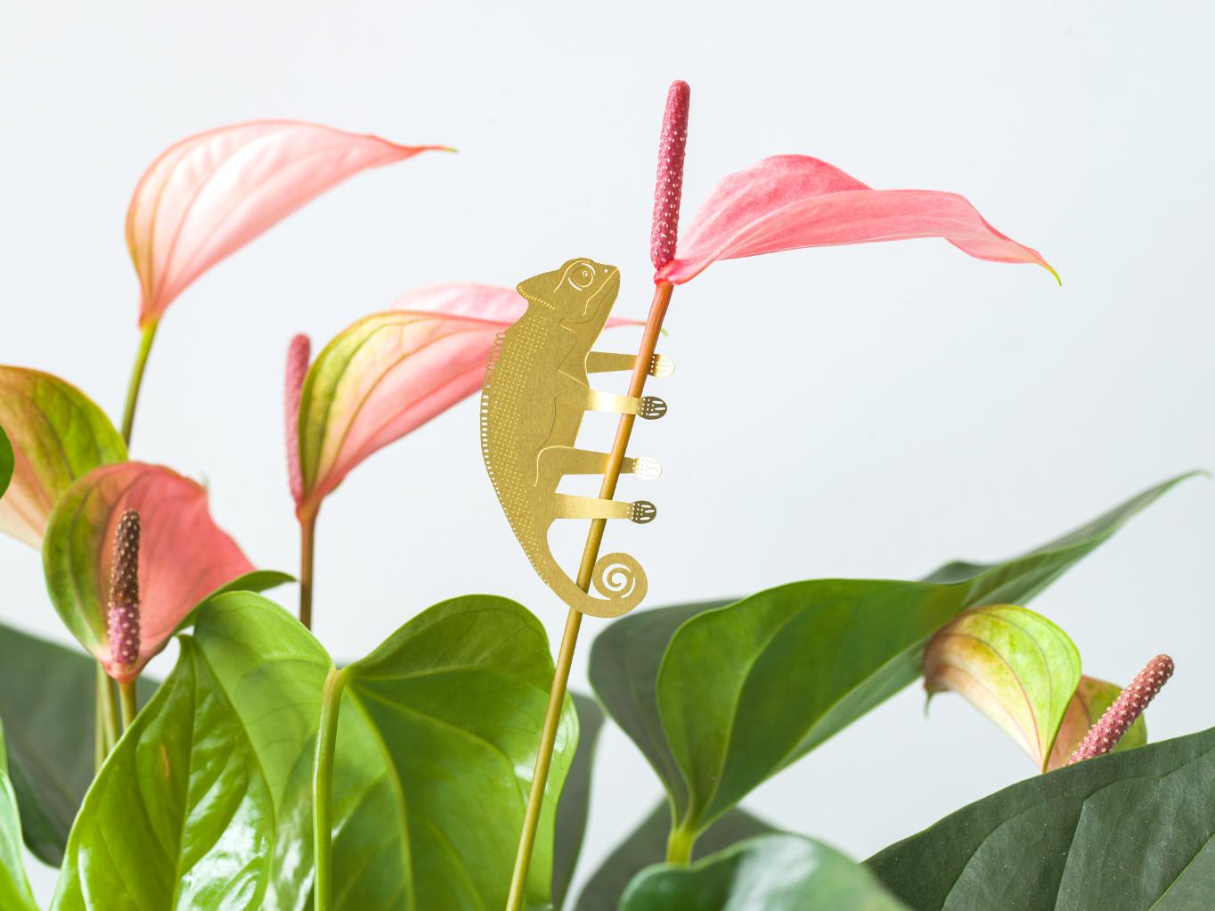 Plant Animal Chameleon Houseplant Hanging Decoration