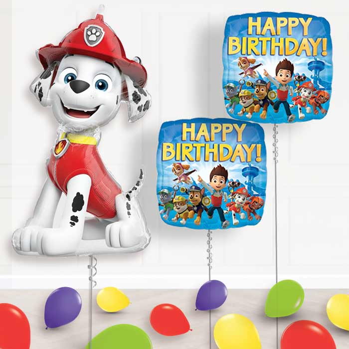 Marshall Paw Patrol Balloon Display Package Delivered - Balloon Package | Party Save Smile