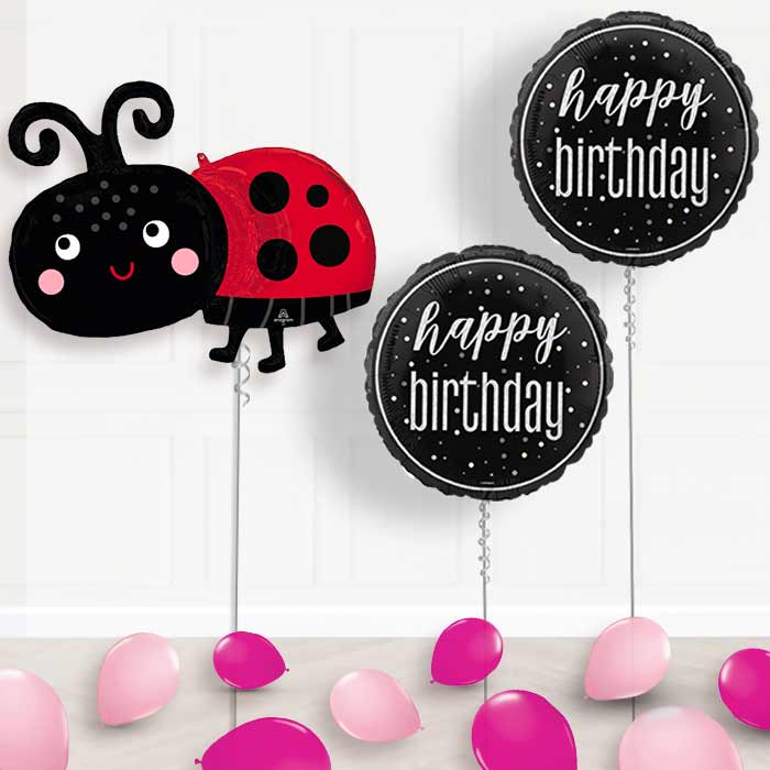 Happy Ladybug Balloon Display Package Delivered Inflated - Balloon Package | Party Save Smile