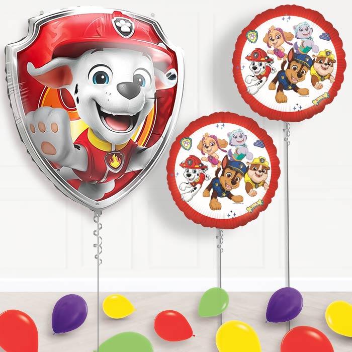 Marshall Paw Patrol Balloon Display Package Delivered Inflated | Balloon Package | Party Save Smile