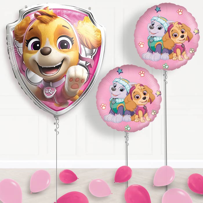 Skye Paw Patrol Balloon Display Package Delivered Inflated | Balloon Package | Party Save Smile