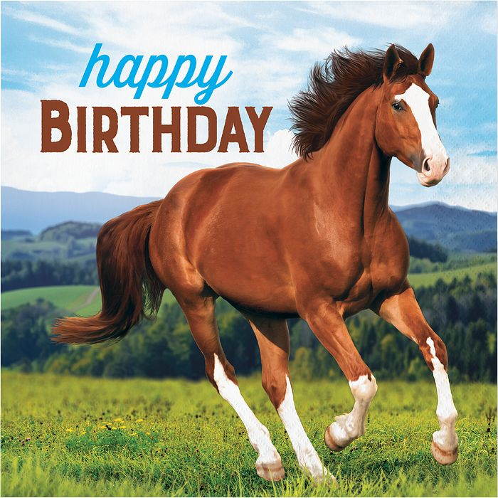 Galloping Horse Happy Birthday Napkins Pack of 16 | Party Save Smile