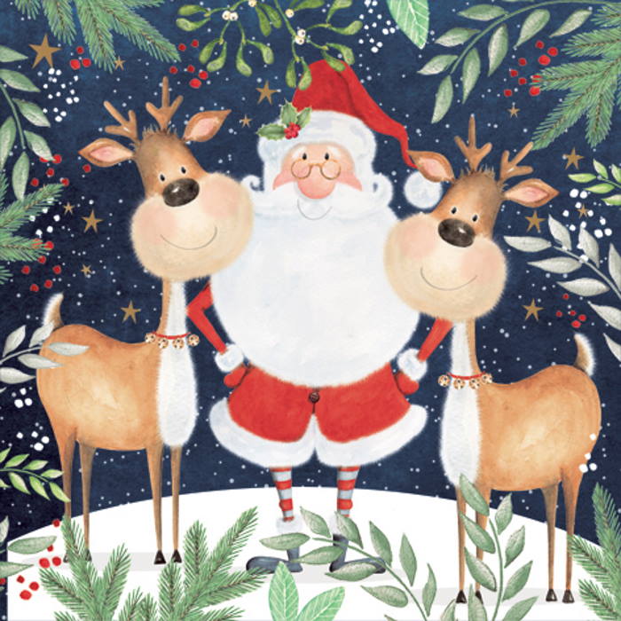 Christmas Napkins - Santa and Reindeer Pack of 20 | Party Save Smile