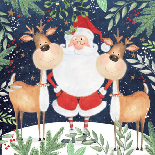 Christmas Napkins - Santa and Reindeer Pack of 20 | Party Save Smile